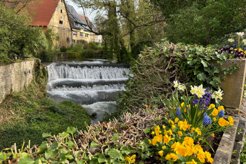 Wasserfall in Adelsheim